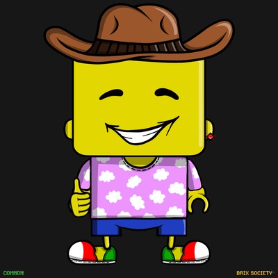 MiniBrix #8829