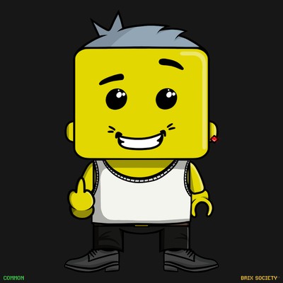 MiniBrix #8913