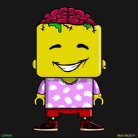 MiniBrix #8973