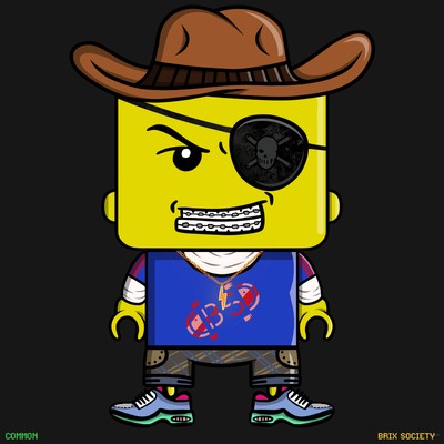 MiniBrix #9011