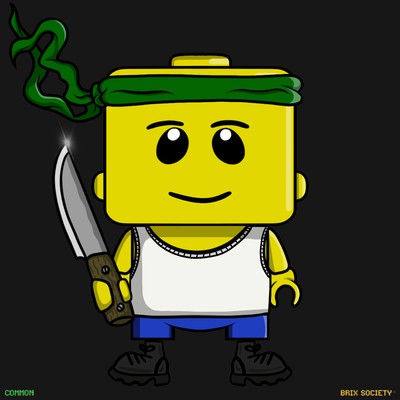 MiniBrix #9020