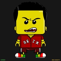 MiniBrix #9253