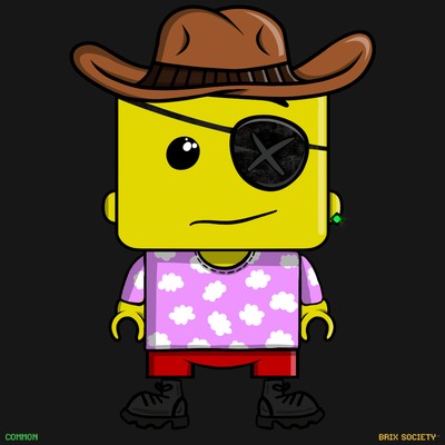 MiniBrix #9528