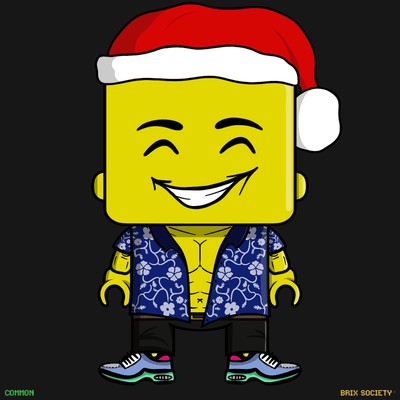 MiniBrix #9689