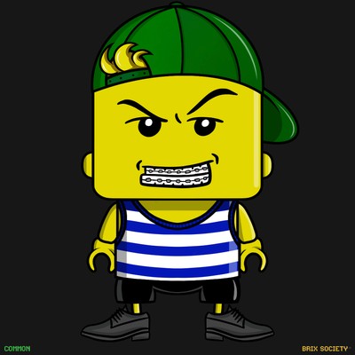 MiniBrix #9701