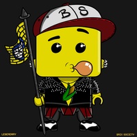 MiniBrix #9706