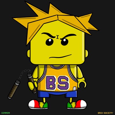 MiniBrix #9712