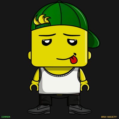 MiniBrix #9793