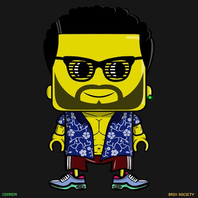 MiniBrix #9870
