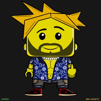 MiniBrix #9899