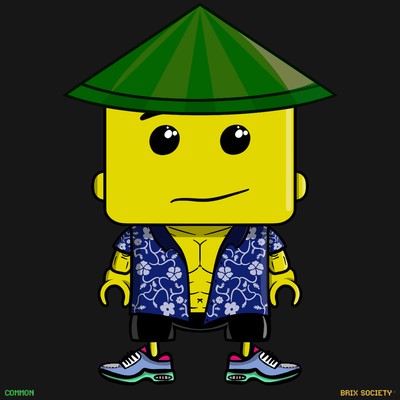 MiniBrix #9929