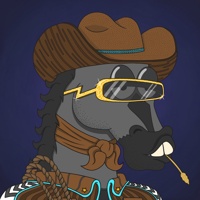 MR CHUMMY 🐴 369