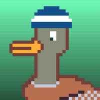 Duck-#63