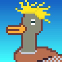 Duck-#76