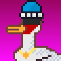 Duck-#104