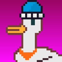 Duck-#111