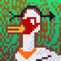Duck-#186