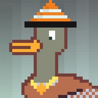 Duck-#306
