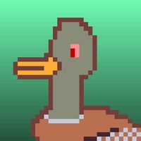 Duck-#309