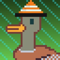 Duck-#329