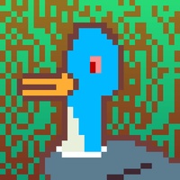 Duck-#369