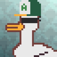 Duck-#447