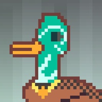 Duck-#483