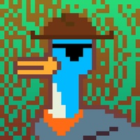 Duck-#484