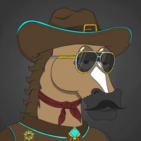 MR CHUMMY 🐴 363