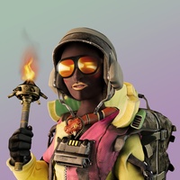 vPunk #1161