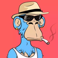 WAX Ape 04208