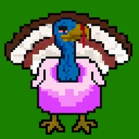 Action Turkey-#517