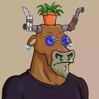 Wax Bull 0034