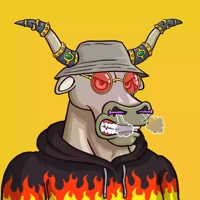 Wax Bull 2498