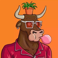 Wax Bull 2565