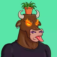 Wax Bull 2594