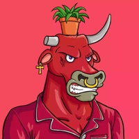 Wax Bull 2673