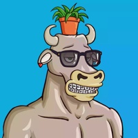 Wax Bull 4077