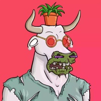 Wax Bull 4316