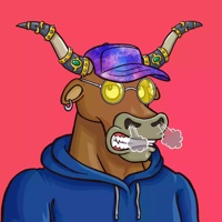 Wax Bull 4897
