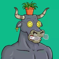 Wax Bull 5102
