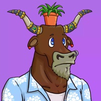 Wax Bull 5779