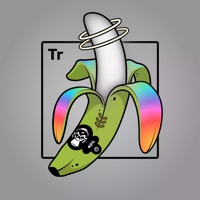 Experimental Banana 00104