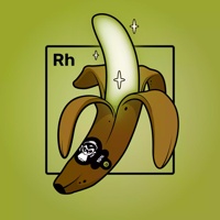 Experimental Banana 00250