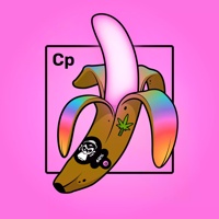 Experimental Banana 01923
