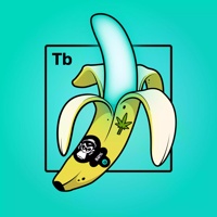 Experimental Banana 02236