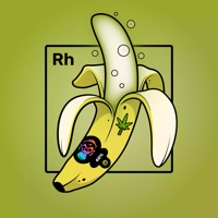 Experimental Banana 03215