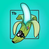 Experimental Banana 06868