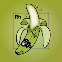 Experimental Banana 06910