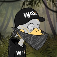 Ducking Fuzz #177